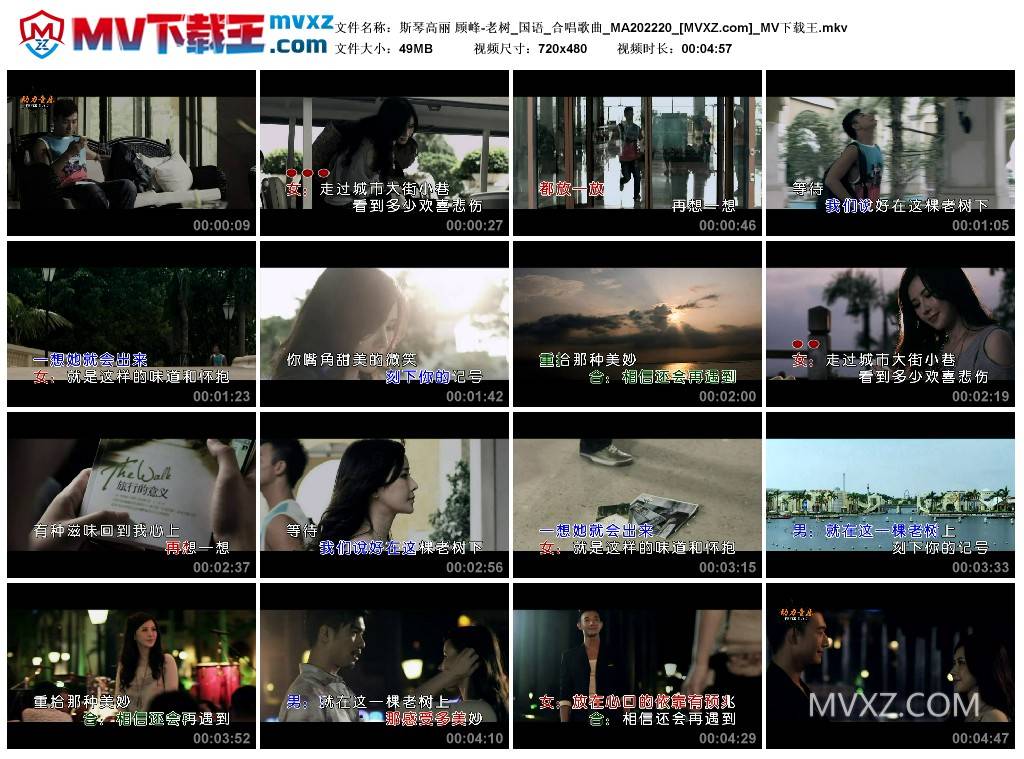 斯琴高丽 顾峰-老树_国语_合唱歌曲_MA202220